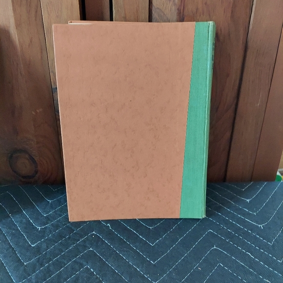 The Complete Adventures of Blinky Bill - Picture 4 of 9